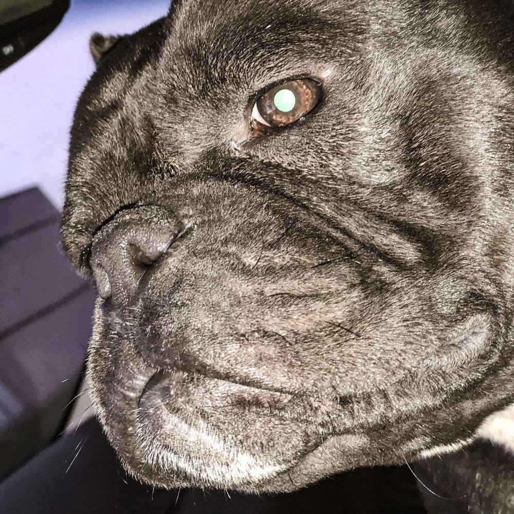 Meet your Posher, Tony